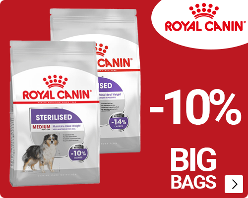 Royal Canin large bags dog